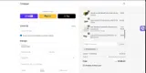 BRANDREWARD coupon verification screenshot
