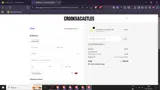 DZPRODUCTIONS coupon verification screenshot