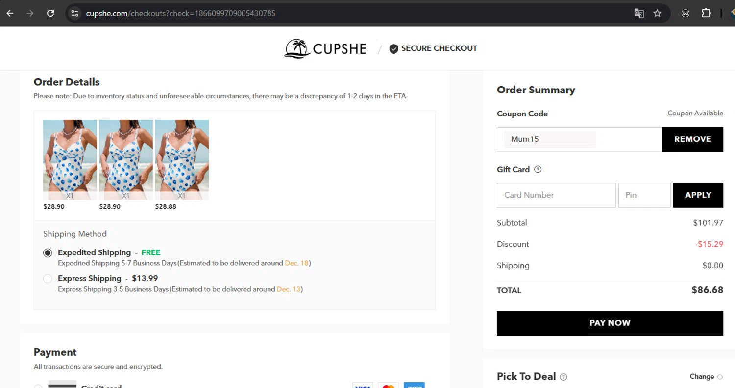 where to use Cupshe promo code box