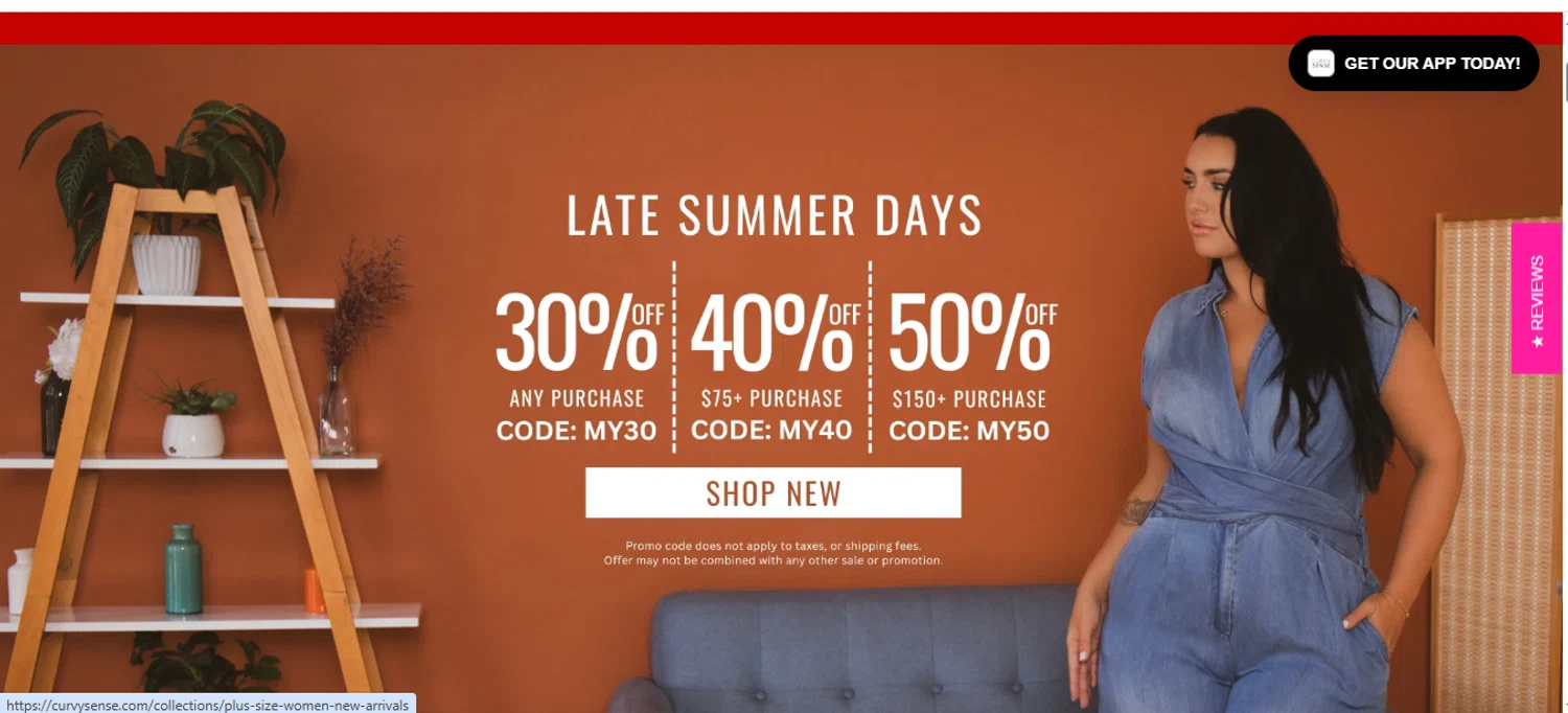 Curvy Sense coupon code screenshot showing code MY40 applied at Curvy Sense checkout page. Uploaded by SimplyCodes community member Speedy on Aug 13, 2025