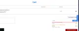 FLASH coupon verification screenshot