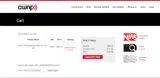 BLACKFRIDAY24 coupon verification screenshot
