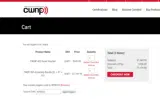 NYNY25 coupon verification screenshot