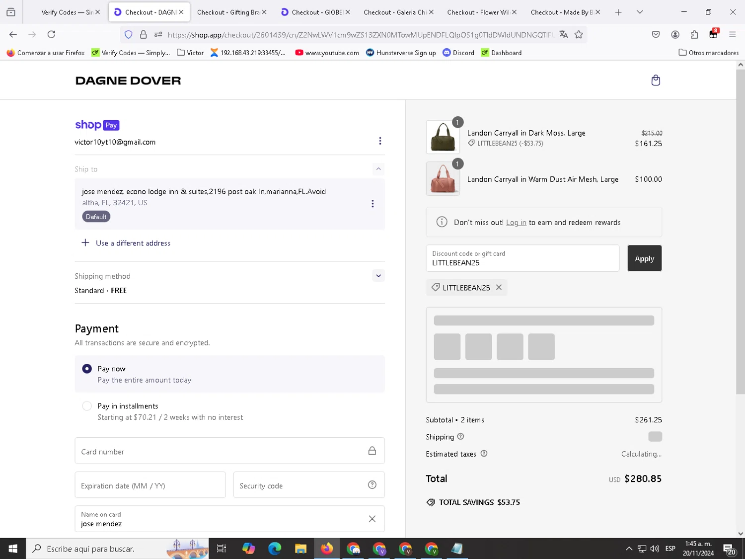 where to use Dagne Dover promo code box