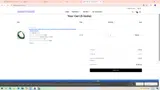 Dainty Days coupon verification screenshot