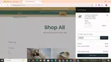 SAVE020 coupon verification screenshot