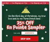 3ENPOINTE coupon verification screenshot