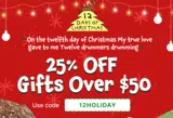 12HOLIDAY coupon verification screenshot