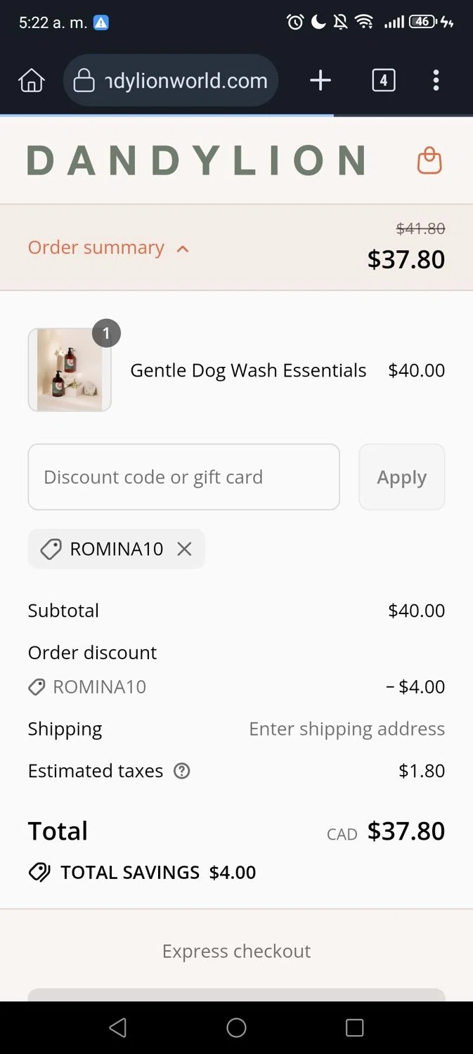 Dandylion promo code screenshot showing code Romina10 applied at Dandylion checkout page. Uploaded by SimplyCodes community member George07 on Aug 4, 2025