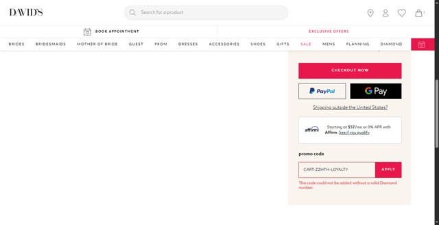 David's Bridal checkout page showing David's Bridal promo code box | Screenshot taken by SimplyCodes community member on Jun 20, 2025