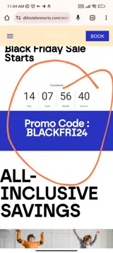 BLACKFRI24 coupon verification screenshot