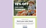 THANKS24 coupon verification screenshot