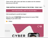CYBERFREE coupon verification screenshot