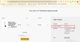 smelly10 coupon verification screenshot