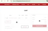 BlackFriday2025 coupon verification screenshot