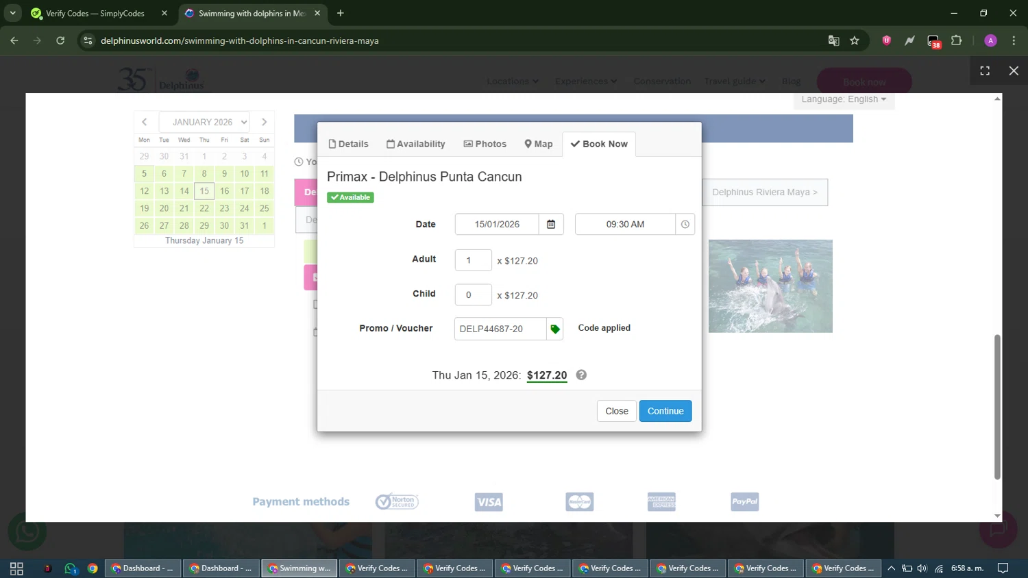 Delphinus checkout page showing Delphinus promo code box | Screenshot taken by SimplyCodes community member on Jan 5, 2026