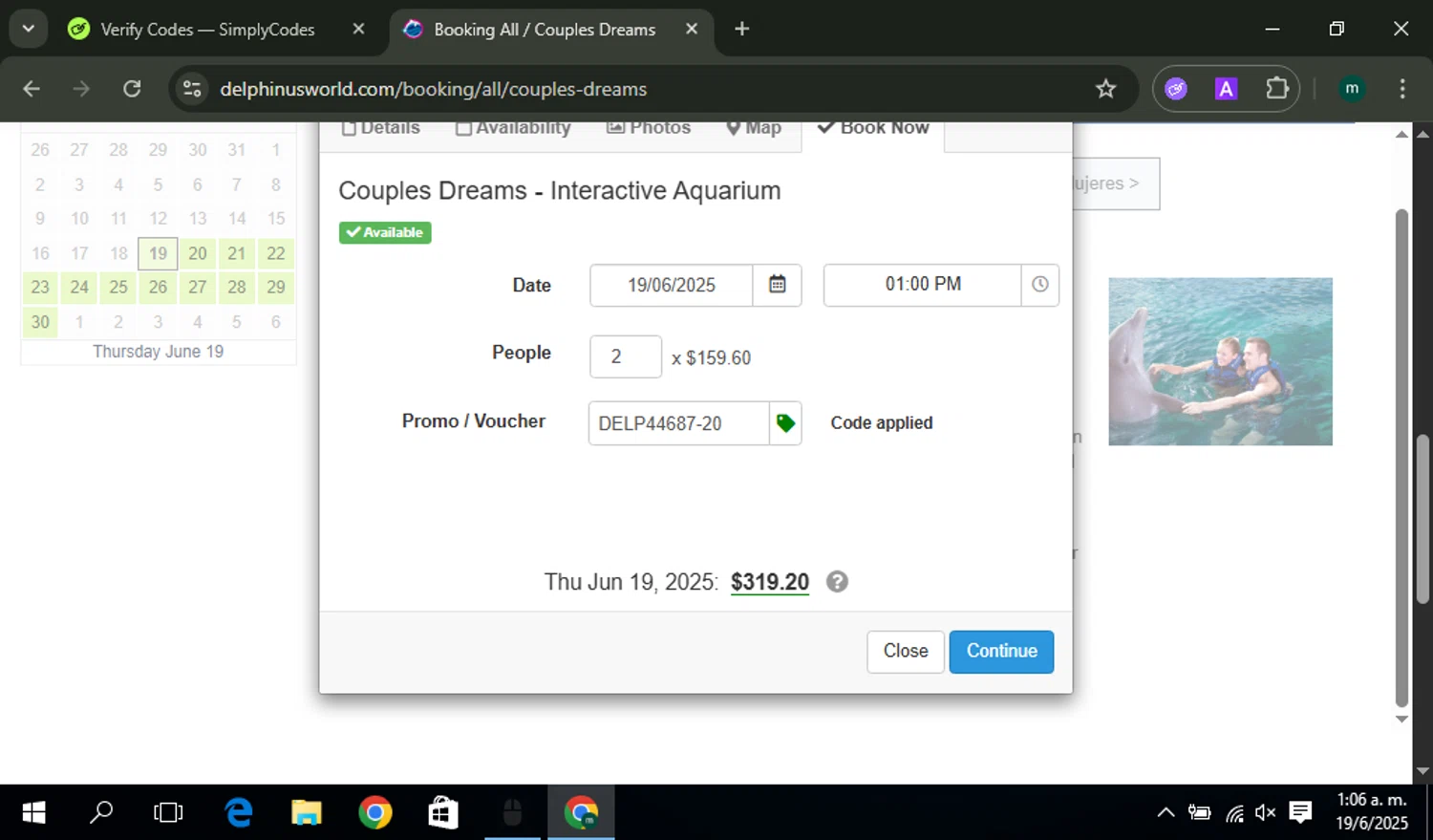 Delphinus promo code screenshot showing code DELP44687-20 applied at Delphinus checkout page. Uploaded by SimplyCodes community member miguel01 on Jun 19, 2025
