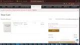 pioneer coupon verification screenshot