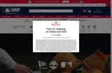 Detroit Tigers coupon verification screenshot