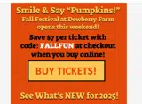 fallfun coupon verification screenshot