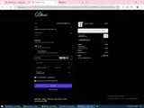 MAGGIESTYLEZ coupon verification screenshot