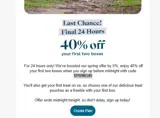 SPRING40 coupon verification screenshot