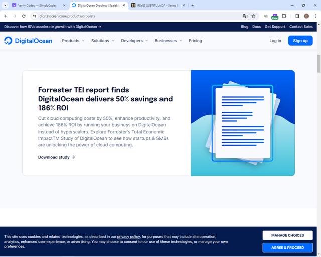DigitalOcean checkout page showing DigitalOcean promo code box | Screenshot taken by SimplyCodes community member on Jan 31, 2024