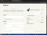 Dingbats Notebooks coupon verification screenshot