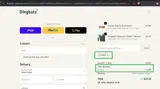 Dingbats Notebooks coupon verification screenshot
