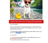 FRIDAY10 coupon verification screenshot