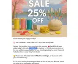 SPRING25 coupon verification screenshot