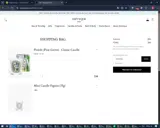 Diptyque Paris coupon verification screenshot