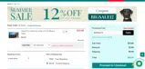 BIGSALE15 coupon verification screenshot