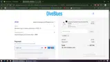 DB15 coupon verification screenshot