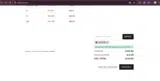 10ZURU coupon verification screenshot