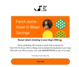 SPOOKYPUP10 coupon verification screenshot