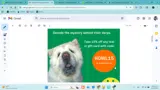 HOWL15 coupon verification screenshot