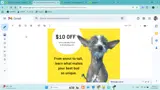 MUTTS10 coupon verification screenshot