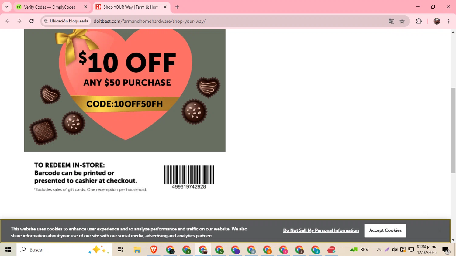 Do it best checkout page showing Do it best promo code box | Screenshot taken by SimplyCodes community member on Feb 12, 2025