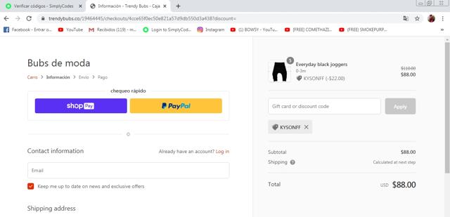 Dollar General checkout page showing Dollar General promo code box | Screenshot taken by SimplyCodes community member on Nov 1, 2020