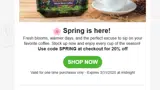 SPRING coupon verification screenshot