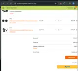 THANKS10 coupon verification screenshot