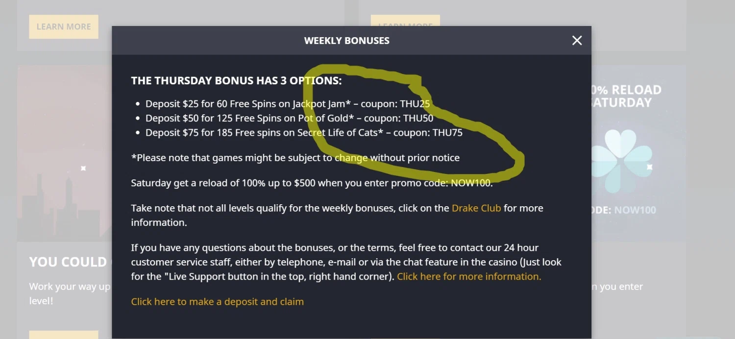 Drake Casino checkout page showing Drake Casino promo code box | Screenshot taken by SimplyCodes community member on Nov 2, 2021