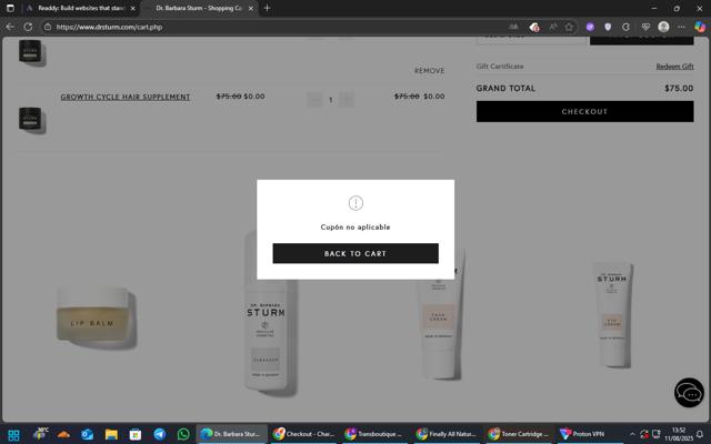 Dr. Barbara Sturm checkout page showing Dr. Barbara Sturm discount code box | Screenshot taken by SimplyCodes community member on Aug 11, 2025