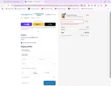 Dressing Your Truth coupon verification screenshot
