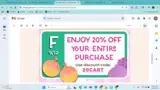 Dressing Your Truth coupon verification screenshot