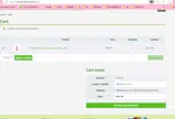 24VET30 coupon verification screenshot
