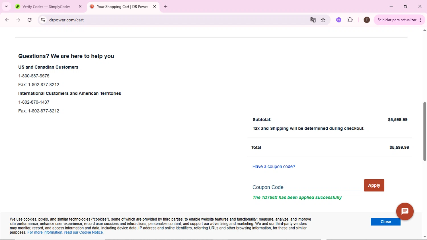 DR Power Equipment checkout page showing DR Power Equipment promo code box | Screenshot taken by SimplyCodes community member on Jun 11, 2025