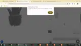 06BIGSUM252 coupon verification screenshot