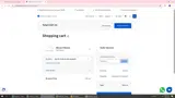 SPRING10 coupon verification screenshot